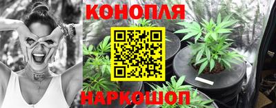 гидропоника Краснокаменск