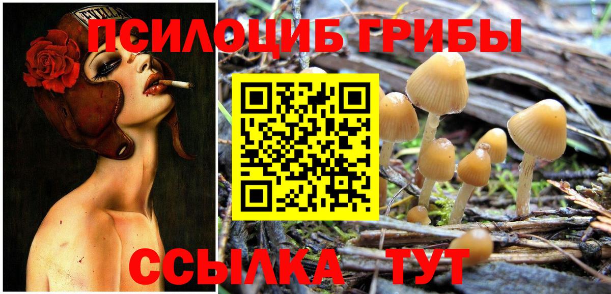 Псилоцибиновые грибы прущие грибы Кингисепп