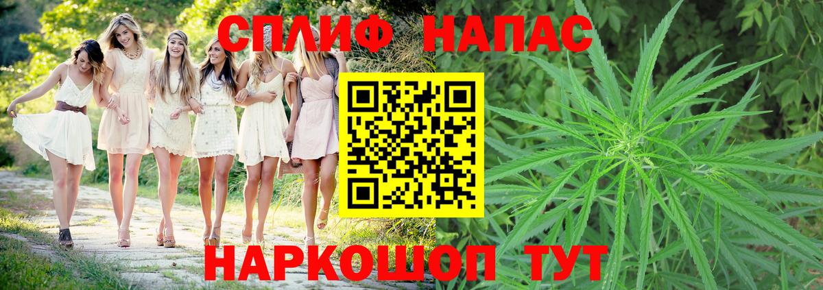 Бошки Шишки тримм  Вход с VPN  Каннабис SATIVA & INDICA  Кингисепп 